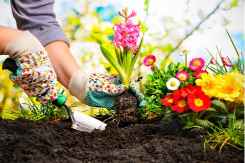 Cultivate Your Mental Health In The Garden planting